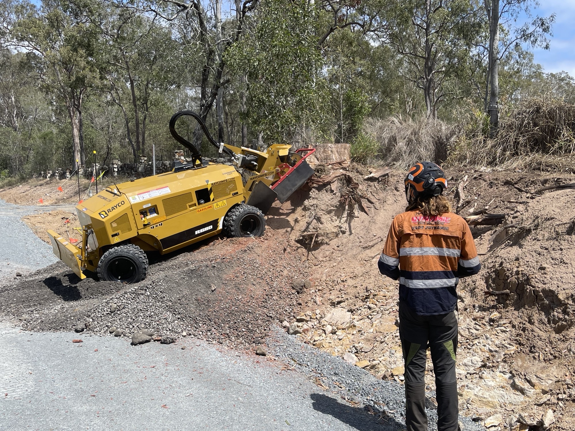 Large tree being professionally lopped with the remaining stump prepared for stump grinding at a residential property in Brisbane.
