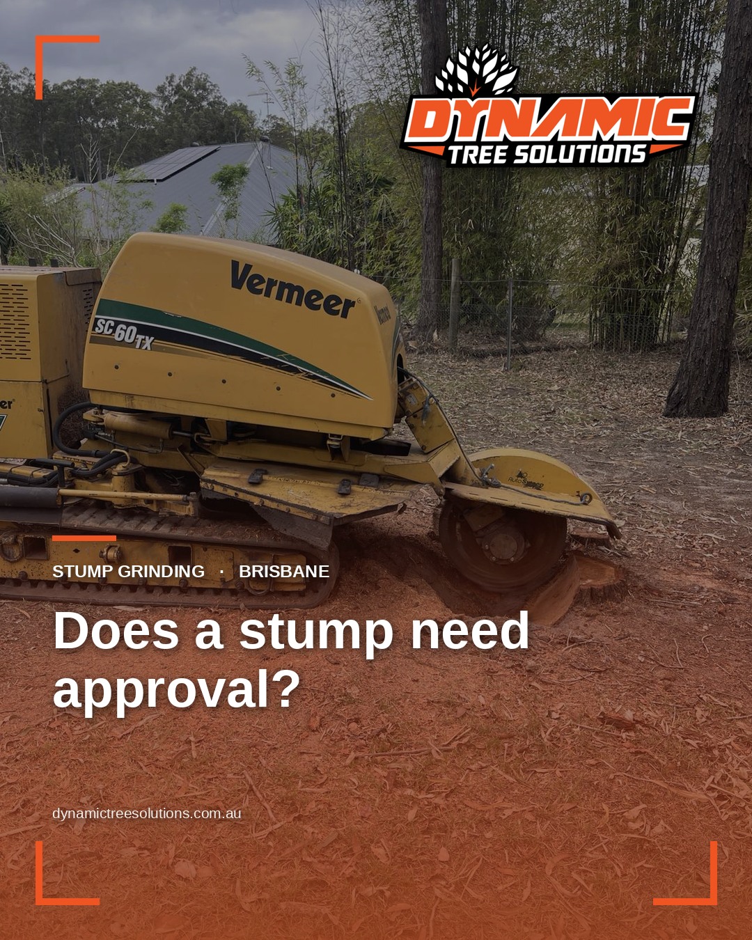 Do You Need Council Approval to Grind a Stump in Brisbane?