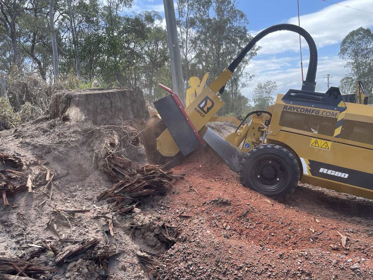 Rayco RG80 stump grinder cutting into a large old gum stump with rotten roots exposed on a bank, Brisbane