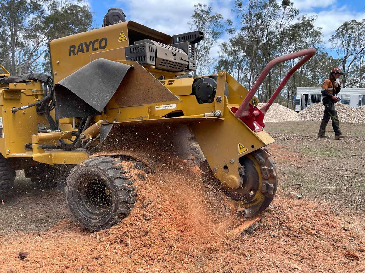 Rayco stump grinder parked on a freshly ground stump, Brisbane