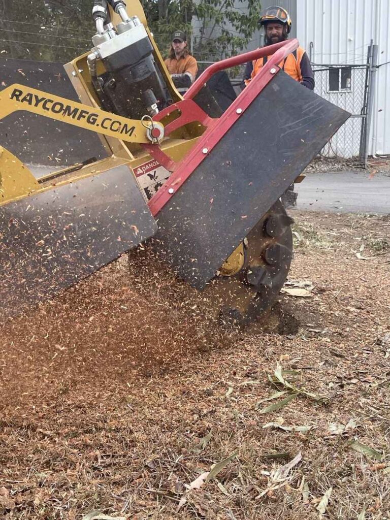 Rayco stump grinder cutting a stump, chips flying, Brisbane